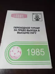 _ Ю.Пырухин Переходной турнир за право выхода в Высшую лигу 1985 Кременчуг 2013
