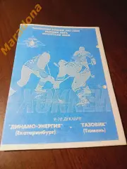 Динамо-Энергия Екатеринбург - Динамо Москва 2001/2002