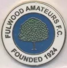 футбол.клуб Фулвуд (Англія) ЕМАЛЬ/Fulwood Amateurs FC,England football pin badge