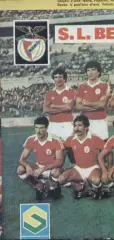 постер А4 футбол Бенфіка (Португалія) 1983 / SL Benfica,Portugal football poster
