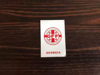 Федерация футбола Грузия