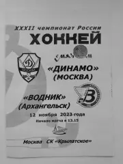 Хоккей с мячом. Динамо Москва - Водник Архангельск 12 ноября 2023