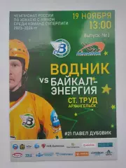Хоккей с мячом. Водник Архангельск - Байкал-Энергия Иркутск 19 ноября 2023