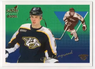 Хоккей; Карточка David Legwand/Дэвид Легуанд Nashville Predators/Нэшвилл НХЛ/NHL