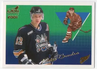 Карточка P. Bondra/Петер Бондра (Washington Capitals/Вашингтон Кэпиталз) НХЛ/NHL